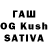 Каннабис сатива Tesa 79