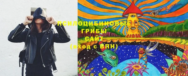 СК Алексеевка