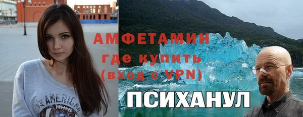 мет Алексин