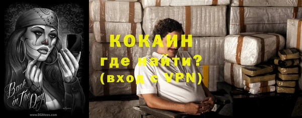 мет Алексин