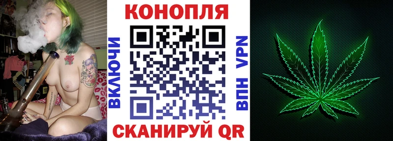 Шишки марихуана план Гаврилов Посад